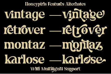 Honeypirls - Retro Serif Font