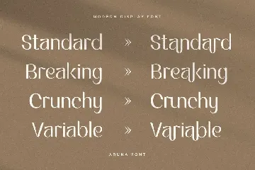 Aruna - Modern Display Font