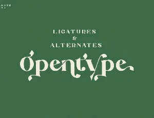 Argithea | Modern Serif Font