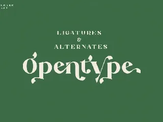 Argithea | Modern Serif Font