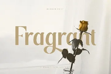 Nathan - Elegant Display Font