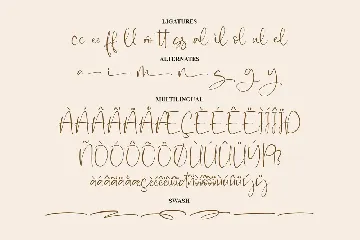 Calling Novelya Script Font