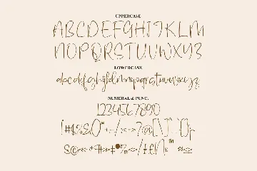 Calling Novelya Script Font