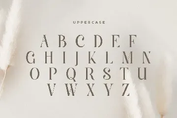 Glimse - Elegant Luxury Serif Font