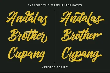 Vriegbe - Bold Script Logotype font