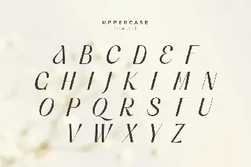 Voyage - Modern Classy Serif Font