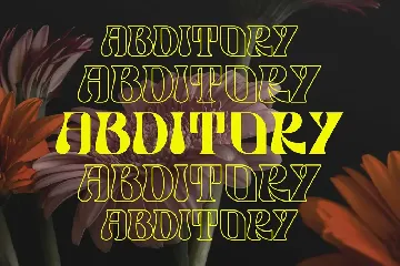 Rutch Display Font