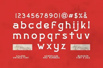 Galona - Serif Display Font