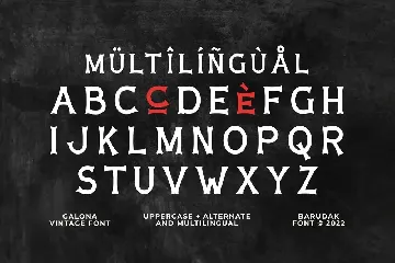 Galona - Serif Display Font