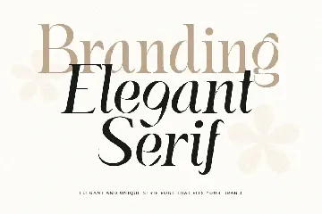 Naomi - Elegant Branding Serif Font