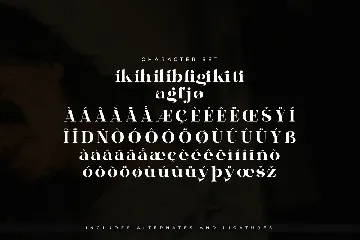 Bagife Modern Serif Font