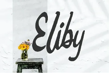 Bigtedy Modern Script font