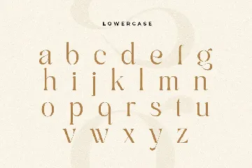 Kumar - Unique Beauty Serif Font