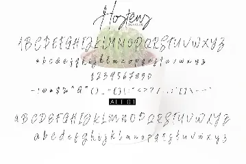 Hostens Signature font