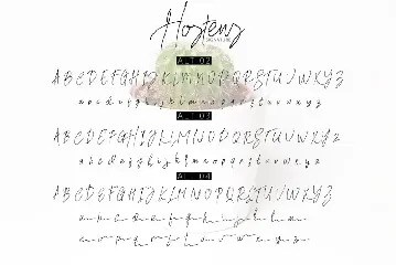 Hostens Signature font