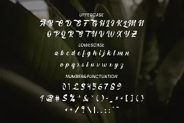 Kaneri - Handwritten Fonts