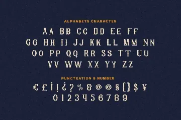 Bakic Shomeryg - Vintage Cursive Font