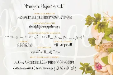 Bridgette Elegant Script font