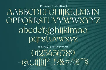 Restaglick - Elegant Ligatures Serif font