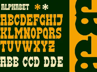 DOMINANT - A Modern Wastern Font