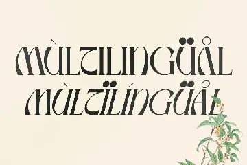 Mallory Display Serif Font