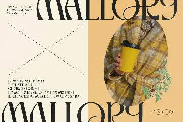 Mallory Display Serif Font