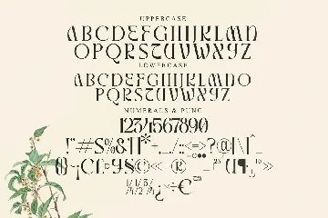 Mallory Display Serif Font