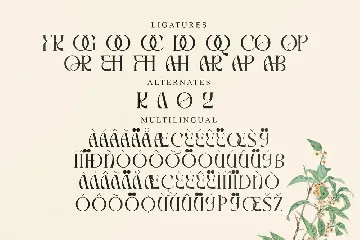 Mallory Display Serif Font