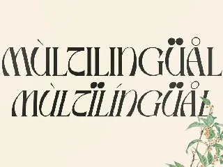 Mallory Display Serif Font