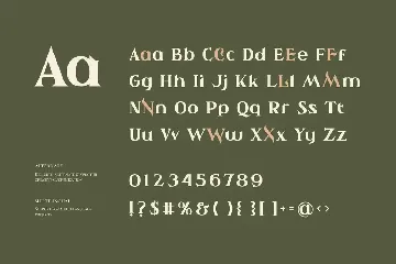 Ahiore Beautiful Serif Fonts