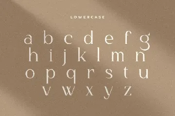 Dangmen - Luxury Ligature Serif font