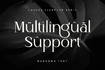 Dangmen - Luxury Ligature Serif font