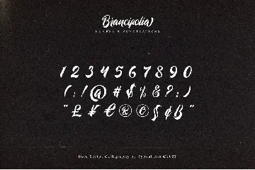 Brancifolia font