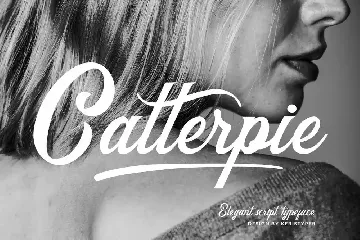 Catterpie Font