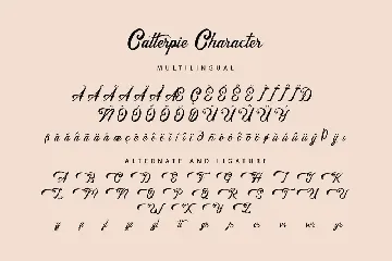 Catterpie Font