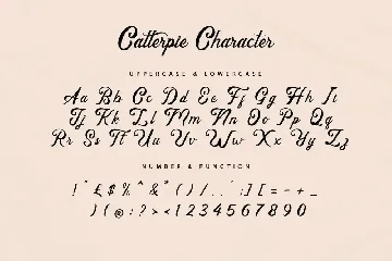 Catterpie Font