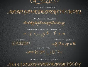 SPOTLIGHT Handwritten font