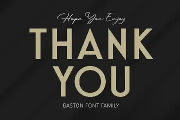 BASTON Business Sans Font