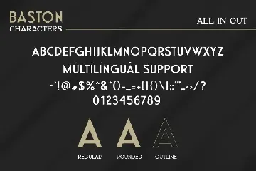 BASTON Business Sans Font