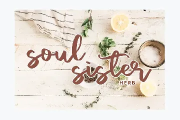 Vacation Modern Script Font