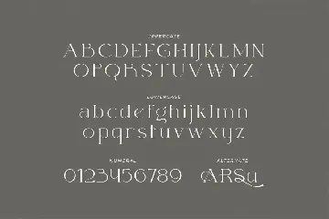 Sabastein - Elegant Serif Typefae font