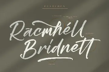 Gaines Brush Font