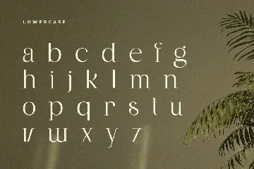 Balfira - Elegant Display Font