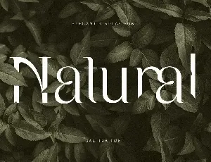 Balfira - Elegant Display Font