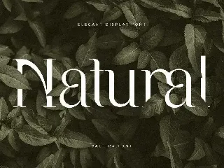 Balfira - Elegant Display Font