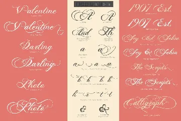 Photograph - Script Wedding Font