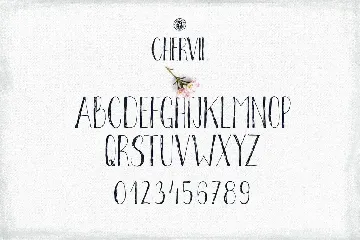 Chervil hand lettering font