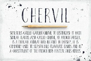 Chervil hand lettering font