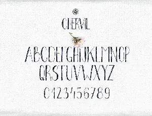 Chervil hand lettering font