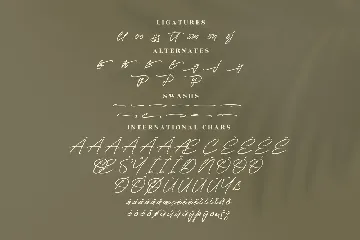 Gallegos Monoline Signature Font